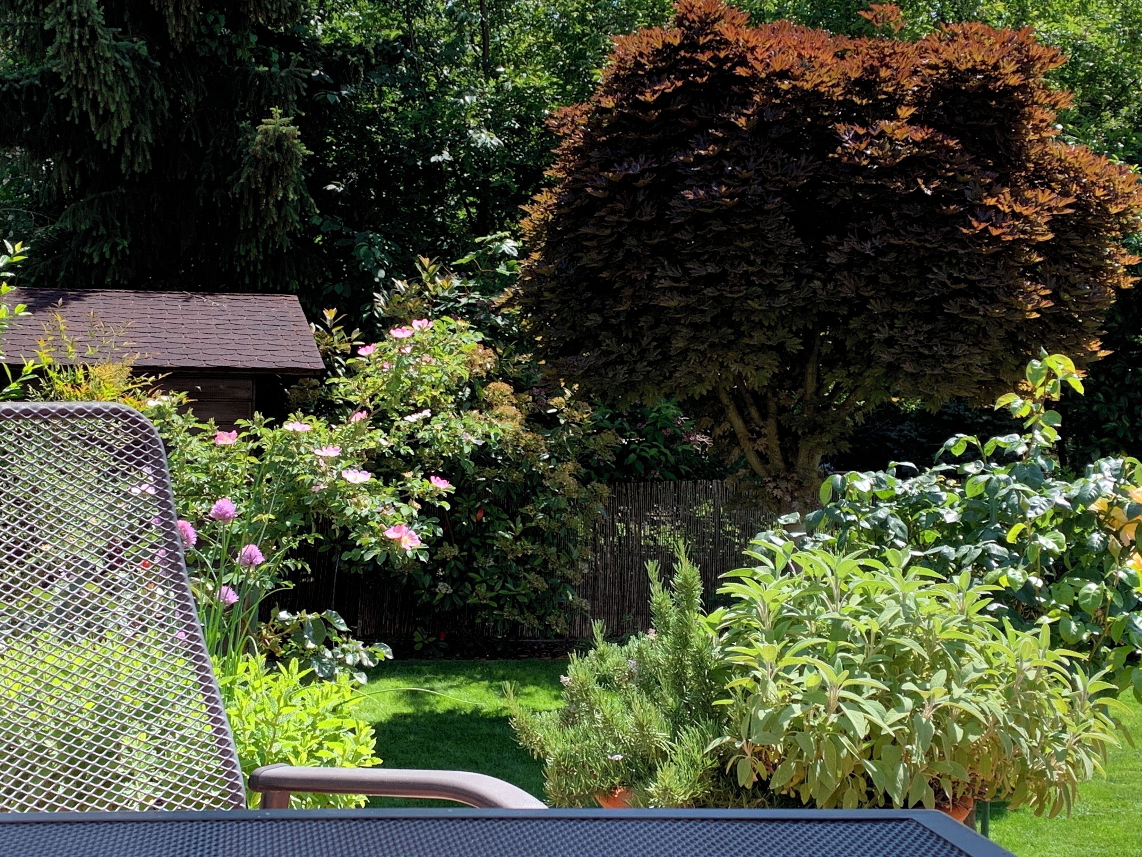 Área da propriedade