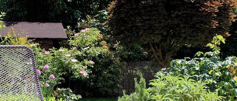 Terrain de lâhĂ©bergement