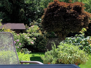 Un jardín con diversas plantas y una valla de madera.