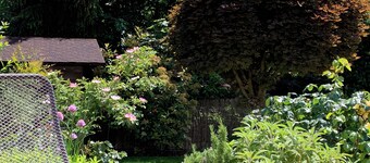 Cozy attic apartment with a view of the countryside, aircon and high-speed DSL