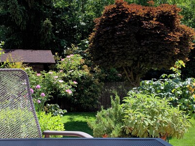 Cozy attic apartment with a view of the countryside, aircon and high-speed DSL