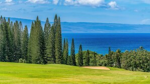 En golfbana med utsikt över havet och ett skogsområde.