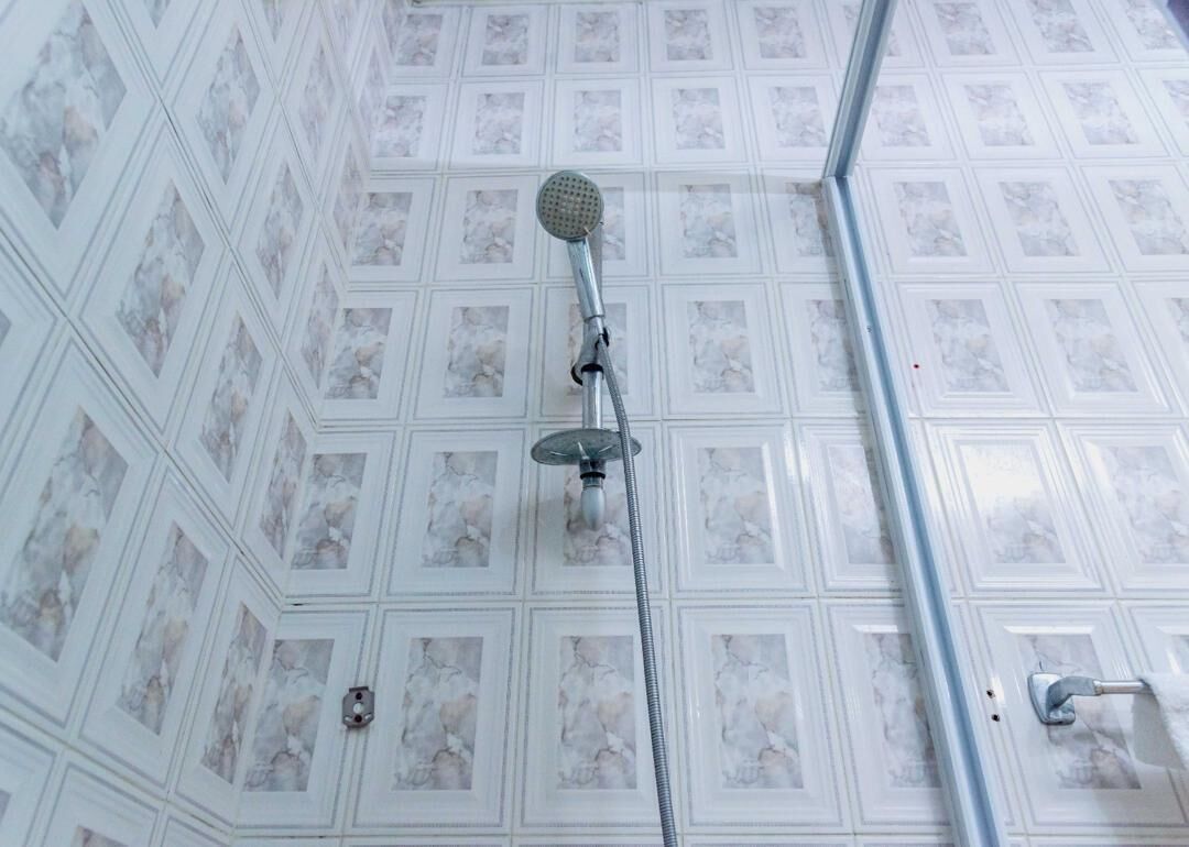 Shower, towels, toilet paper
