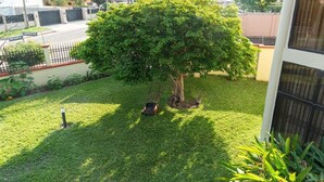 Ein gepflegter Rasen mit einem großen Baum, einem Rasenmäher und einem Zaun.