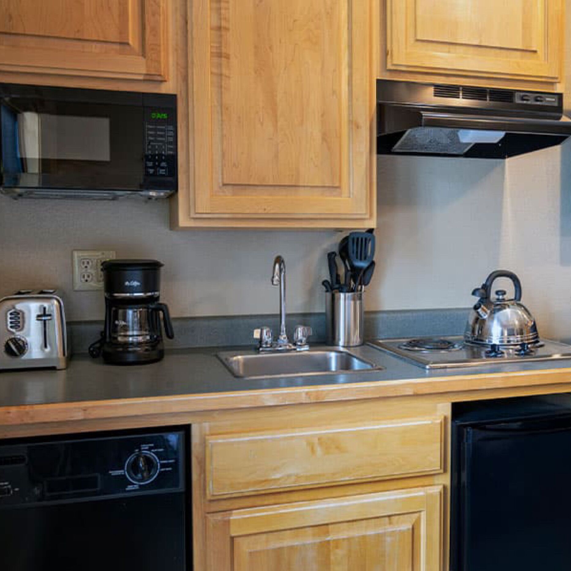 Fridge, microwave, stovetop, dishwasher