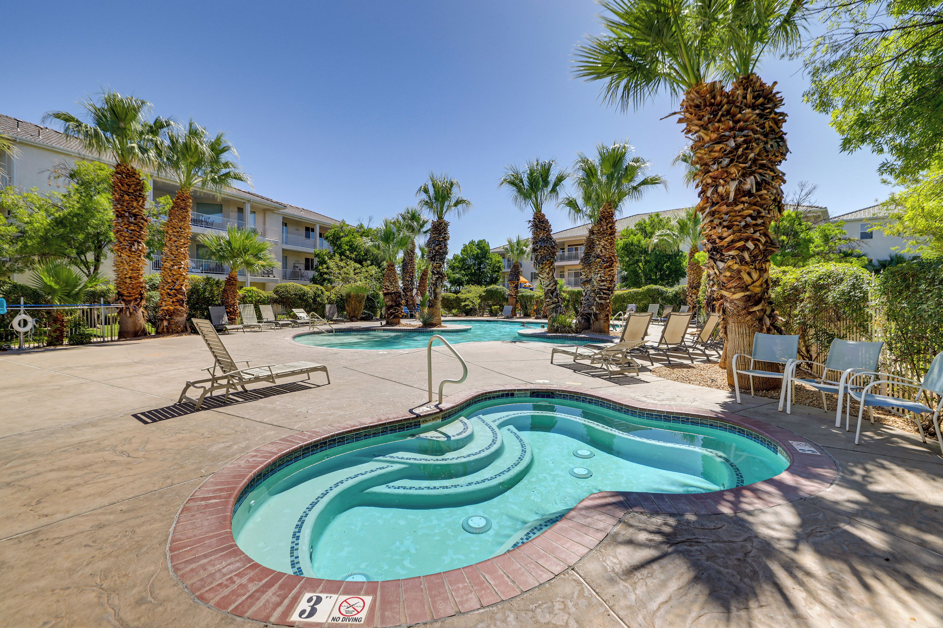 A swimming pool with a tiled edge, surrounded by palm trees and lounge chairs.