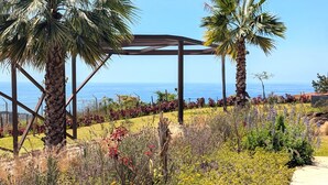 Ein Garten mit einer Pergola, Palmen und verschiedenen Pflanzen und Blumen.