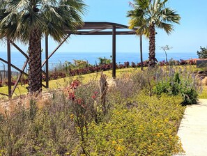 Un jardin agrémenté d’une pergola, de palmiers et d’une grande variété de plantes et de fleurs.