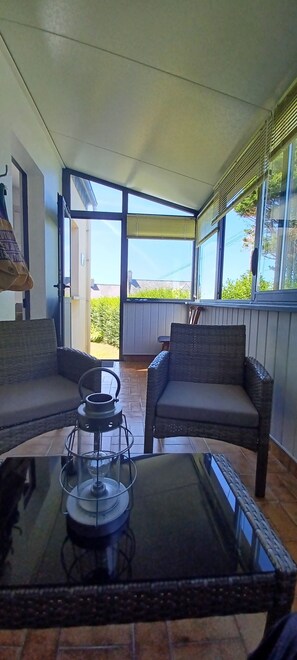 电视、DVD 播放器、书