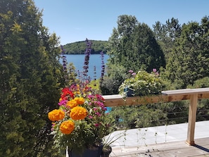 Àrea exterior de l'allotjament