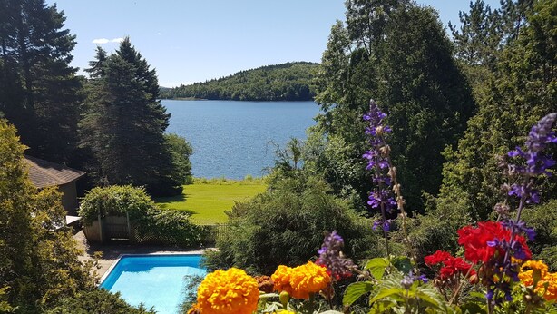 Una piscina rodeada de abundante vegetación y flores coloridas, con un lago y colinas boscosas al fondo.