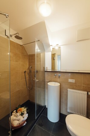 Shower, hair dryer, towels, soap - Quiet 1-room apartment with south-facing balcony in the middle of the island of Lindau (Lindau)
