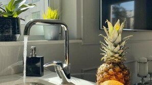 Un plan de travail de cuisine avec un évier, une fenêtre et une plante en pot.