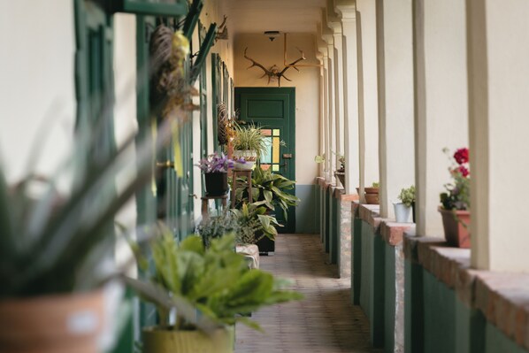 A corridor with potted plants and a deer head mounted on the wall.