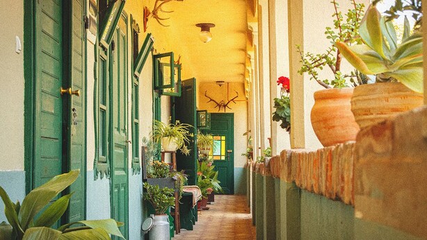 Um corredor estreito com portas verdes e vasos de plantas ao longo das paredes.