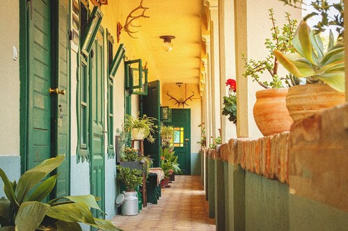 Cozy 3-bedroom farmhouse surrounded by a vibrant garden full of plants.