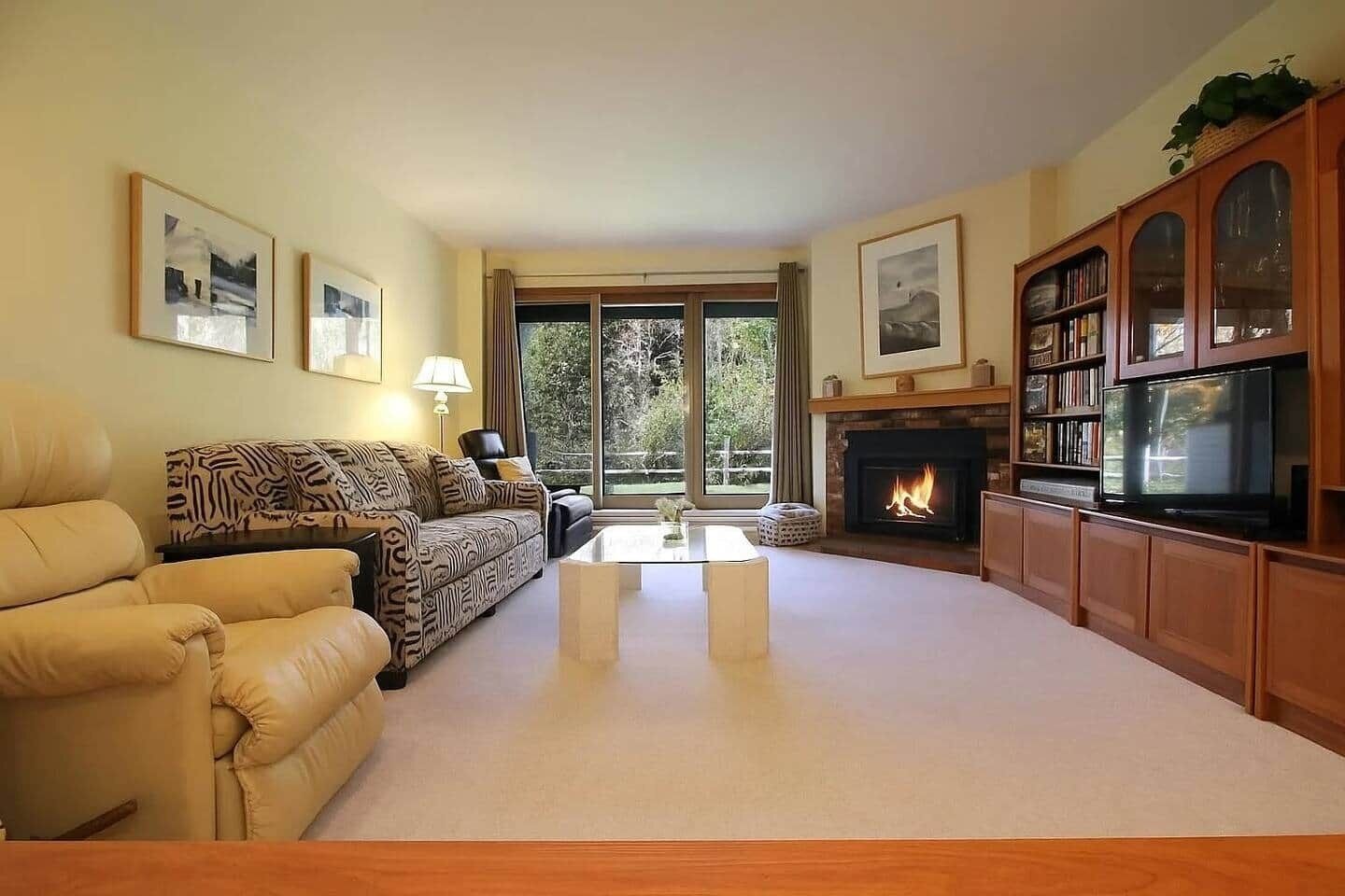 Smart TV, fireplace, books