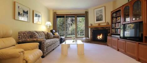 Smart TV, fireplace, books