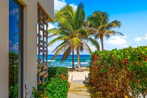 Property grounds - Silver Reef 1 Luxury 2BR Beachfront Retreat with Pool (Old Man Bay)