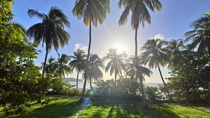 Paisaje tropical con palmeras y vista al mar.