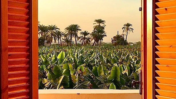 A view through open wooden shutters, revealing a lush garden with various plants and palm trees. - Charming deluxe villa, family atmosphere in the authentic West Bank of Luxor (Luxor Governorate)