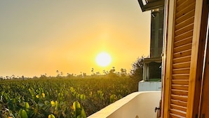A corridor with a view of a banana plantation at sunset. - Charming deluxe villa, family atmosphere in the authentic West Bank of Luxor (Luxor Governorate)