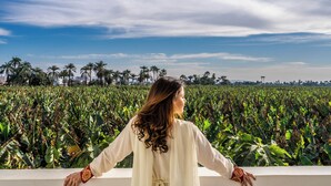 A person standing with arms outstretched in a field of crops under a clear sky. - Charming deluxe villa, family atmosphere in the authentic West Bank of Luxor (Luxor Governorate)