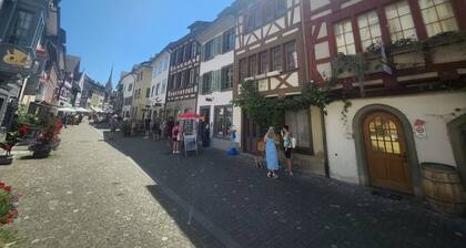 Zur Geduld, Historic Oldtown House at Stein am Rhein