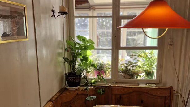 Ett matbord i trä med en bänk, en krukväxt och ett fönster med utsikt över grönskan utanför.