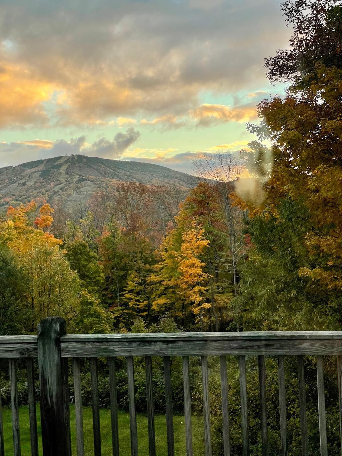 Overnatningsstedets område