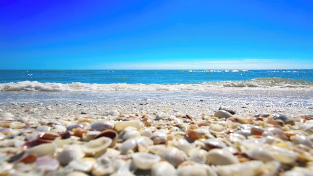 A beach with pebbles and the ocean in the background. - Luxury Coastal Retreat | Salt Water Heated Pool (Sanibel)