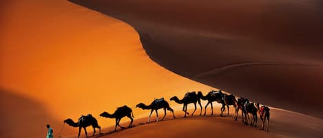 A desert landscape with a caravan of camels and a person leading them.