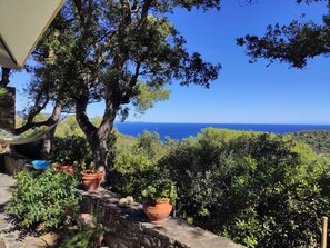 Property grounds - Vacation home Bormes les Mimosas - South of France (Bormes-les-Mimosas)
