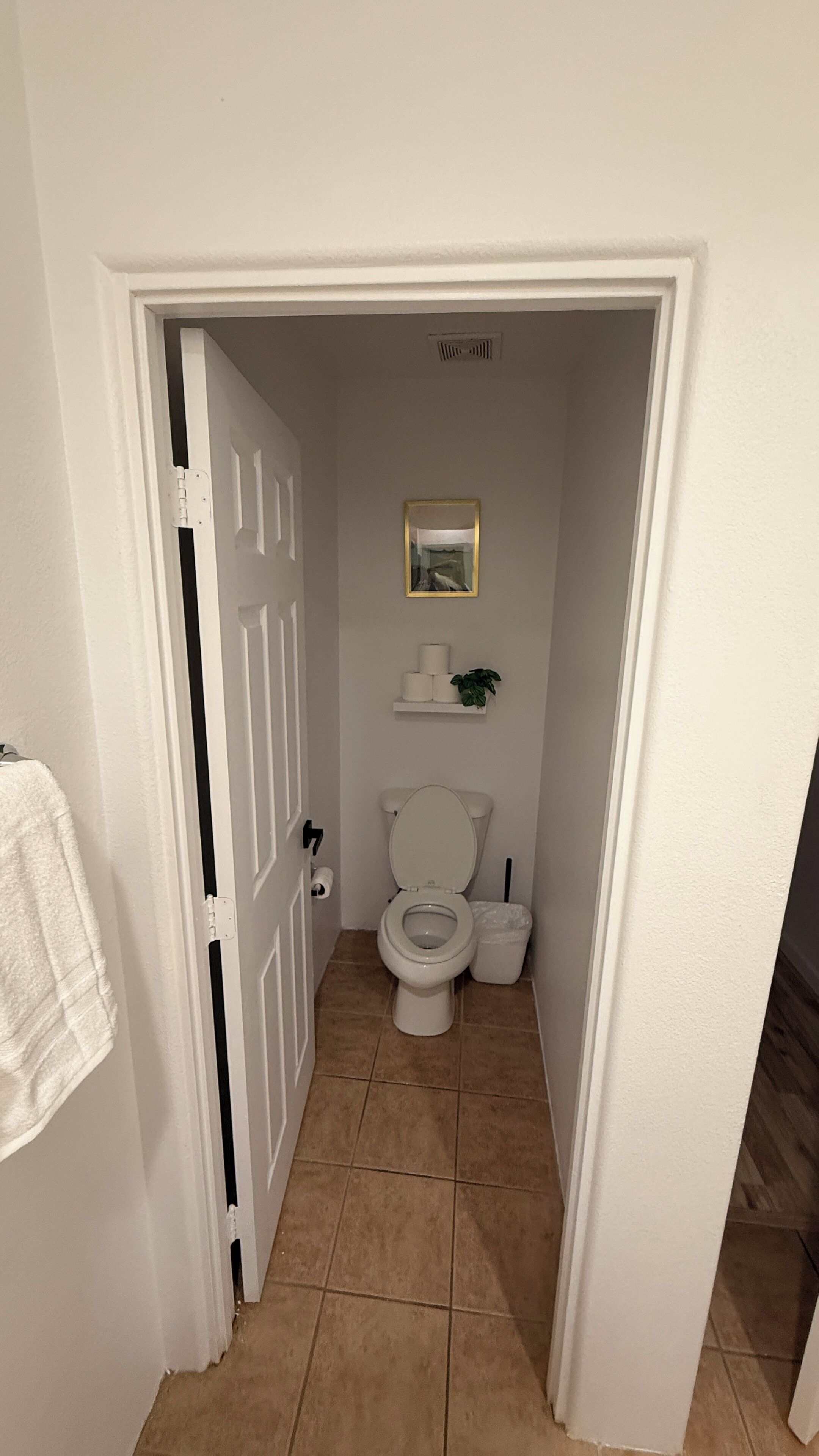 A small, narrow bathroom with a toilet, a shelf with toilet paper and a plant, and a door leading to another room.