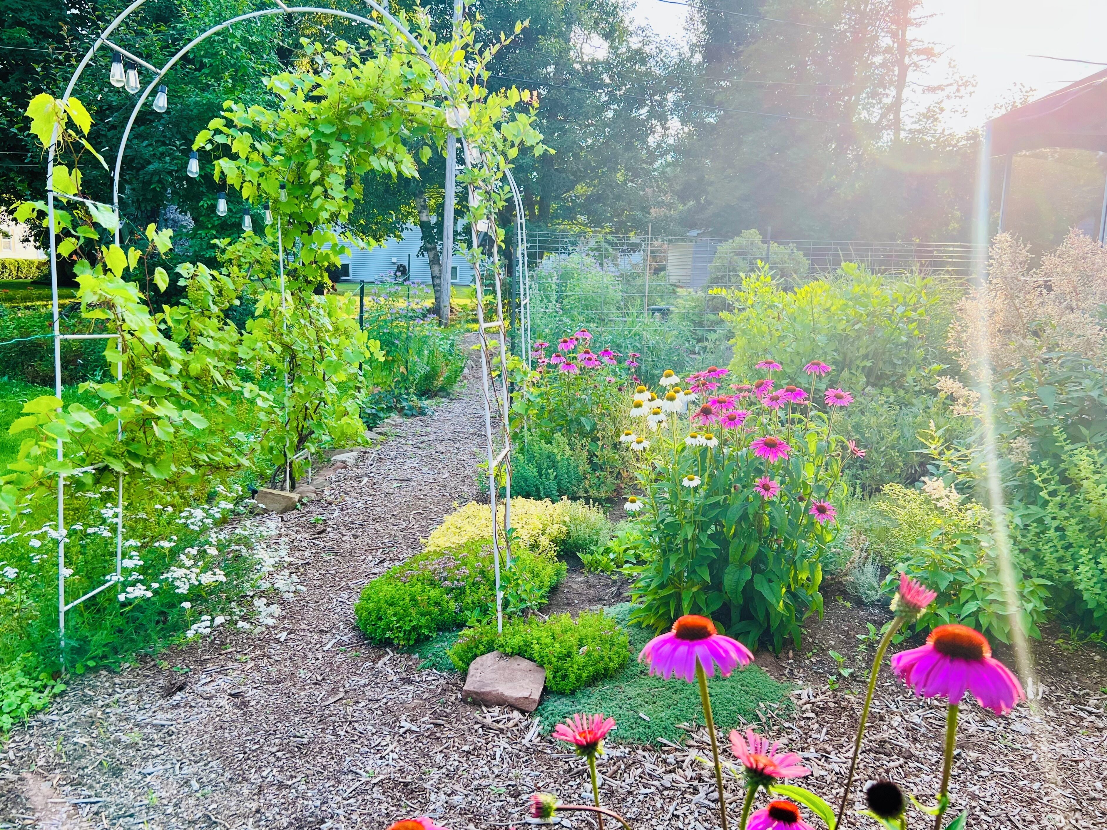 Terrain de l’hébergement 