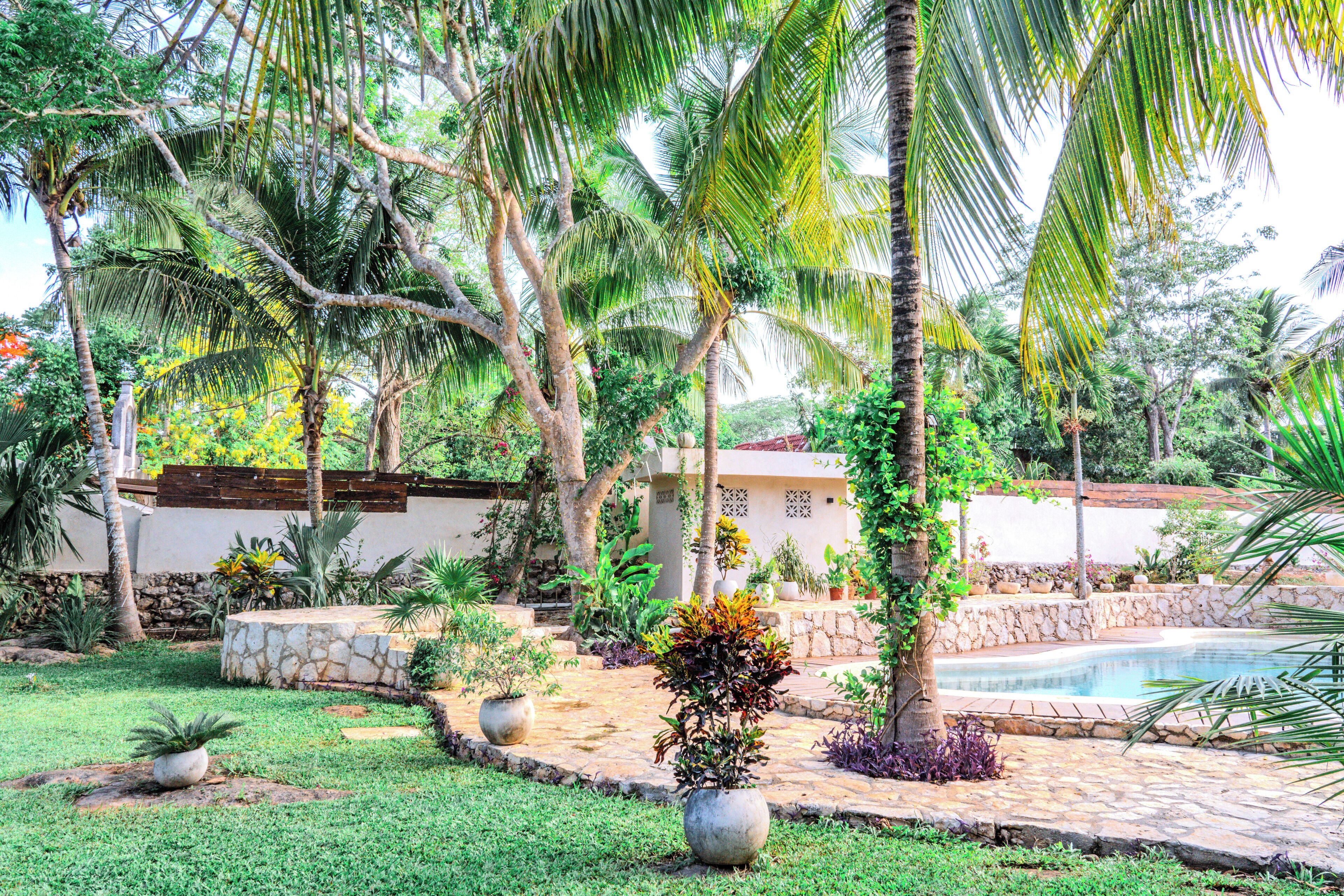 Un jardín con piscina, palmeras y un muro de piedra.