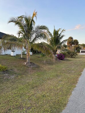 Property grounds - Private Cozy and relaxing 1-bedroom unit with living room kitchen full bath more (North Port)