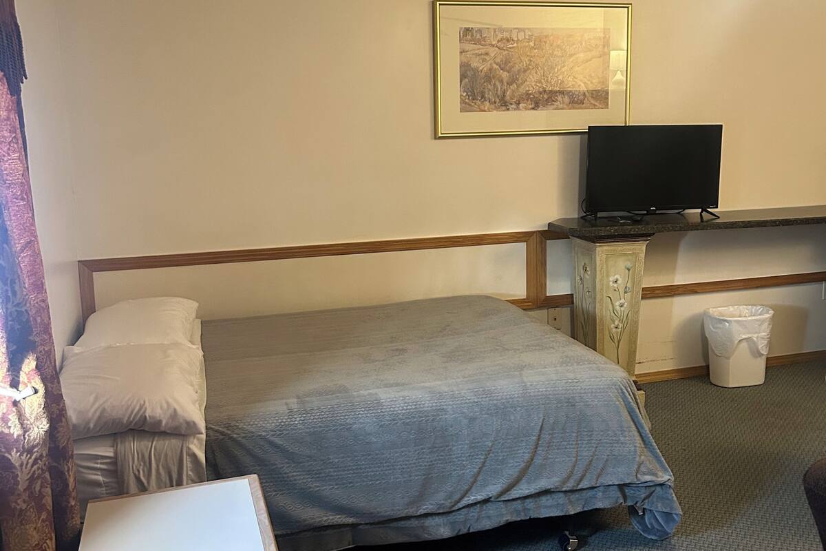 A hotel room with a bed, a television, a ceiling fan, a painting on the wall, and a trash bin.