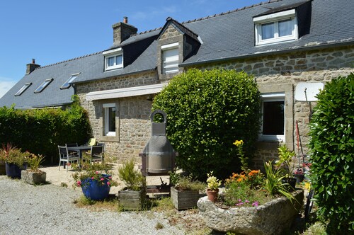 Camélia de kerguével