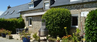 Camélia de kerguével