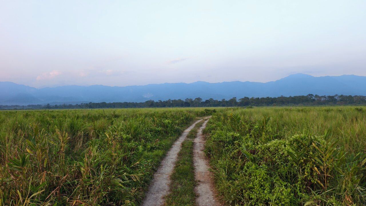 A rural landscape with a dirt path leading through a field towards distant mountains.