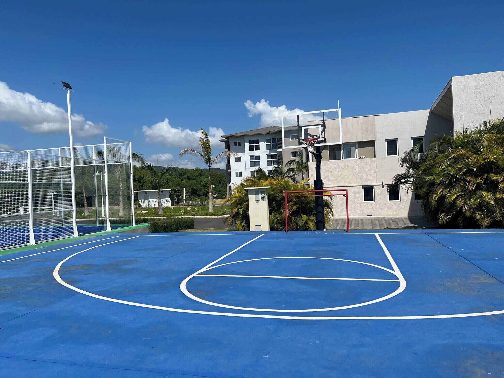 An outdoor basketball court with a blue surface, a basketball hoop, and a netted area to the left.
