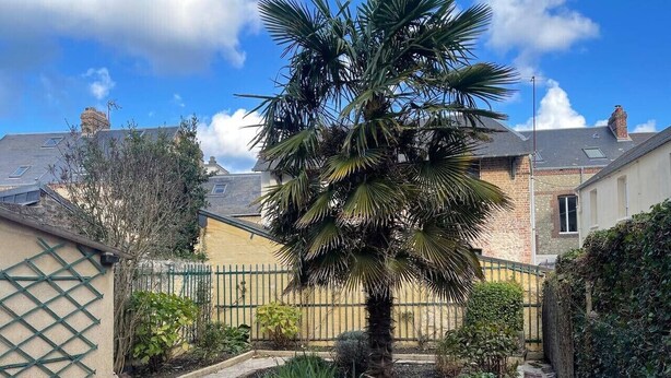 A residential garden with a palm tree, a brick pathway, and a metal fence. - Le confort avec jardin, à deux pas du port (Fécamp)