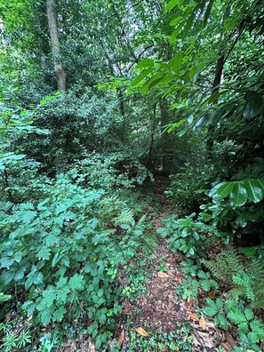 Property grounds - Lovely modern & cozy nature house in forest 15 min from Zutphen and Deventer (Eefde)