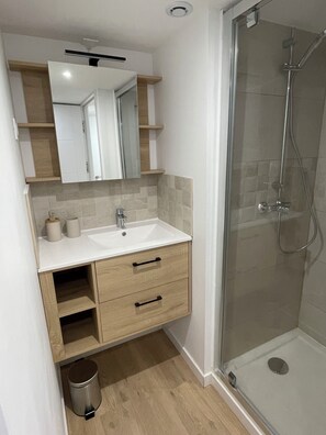 Shower, hair dryer, towels, toilet paper - Town house, 4 bedrooms / 4 bathrooms, large living room and terrace (CARCASSONNE)