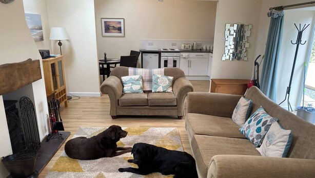 A living room with two dogs, a sofa, a coffee table, and a fireplace. - Swallow Bach, Couples Bolt Hole (Llangefni)