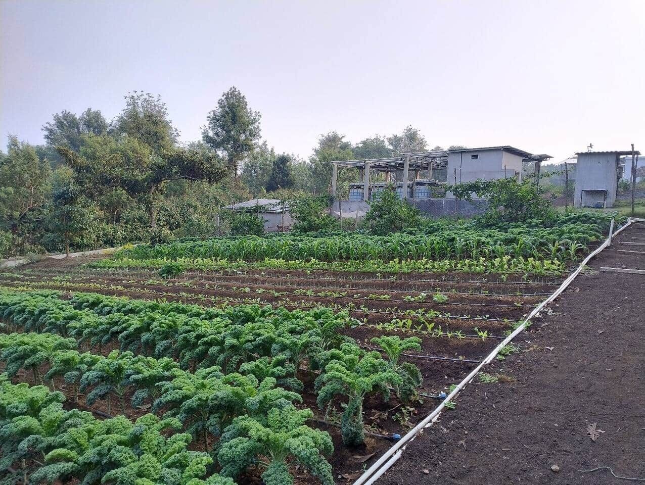 Áreas de la propiedad