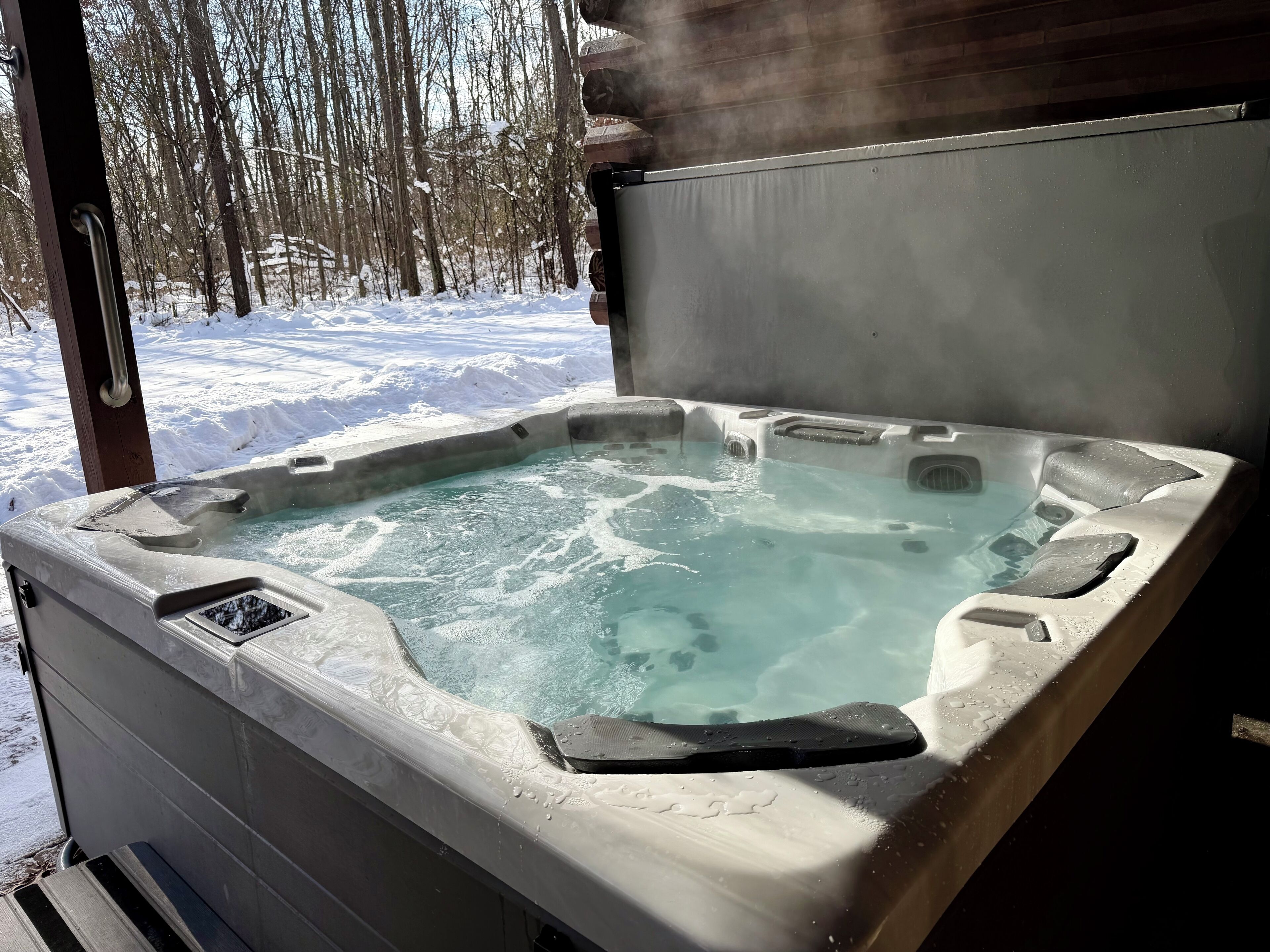 Un jacuzzi con vistas a un bosque nevado.