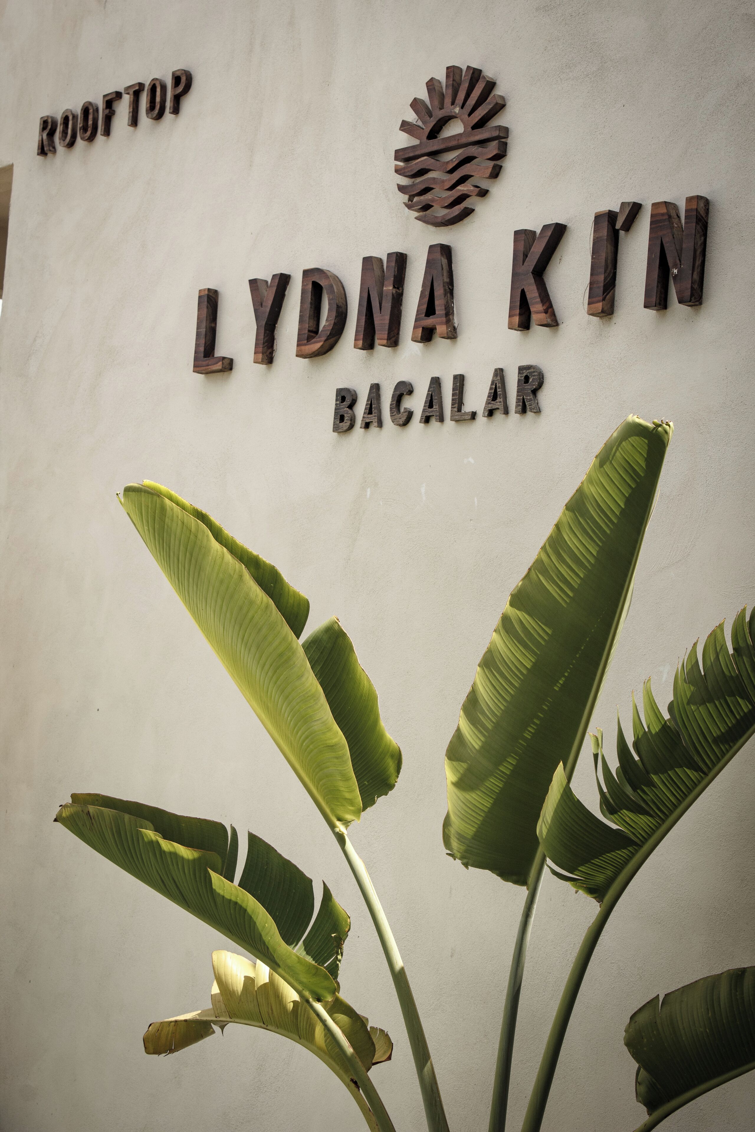 A sign with 'LYDNA KIYN' and 'BACALAR' on a wall, with large banana leaves in front.