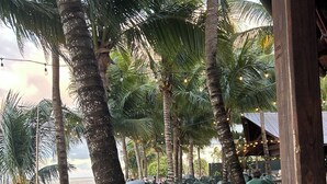 Ein Sitzbereich im Freien mit Tischen und Stühlen, umgeben von Palmen und Blick auf den Strand.